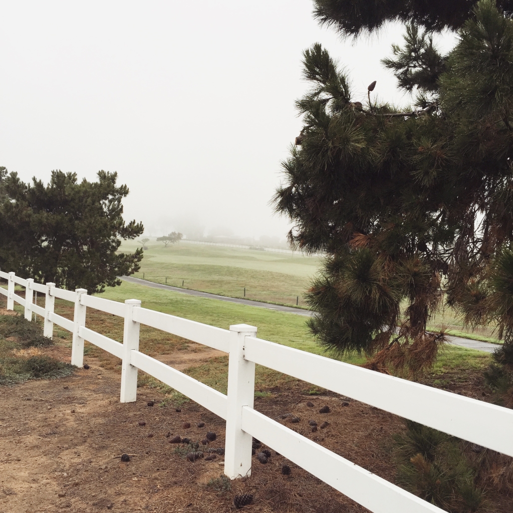 running-after-having-a-baby