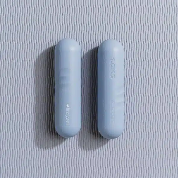 Sky blue weights 1058746